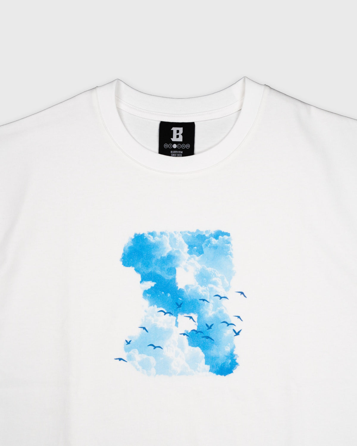 5 Year Anniversary Cloud T-Shirt – White/Blue-3