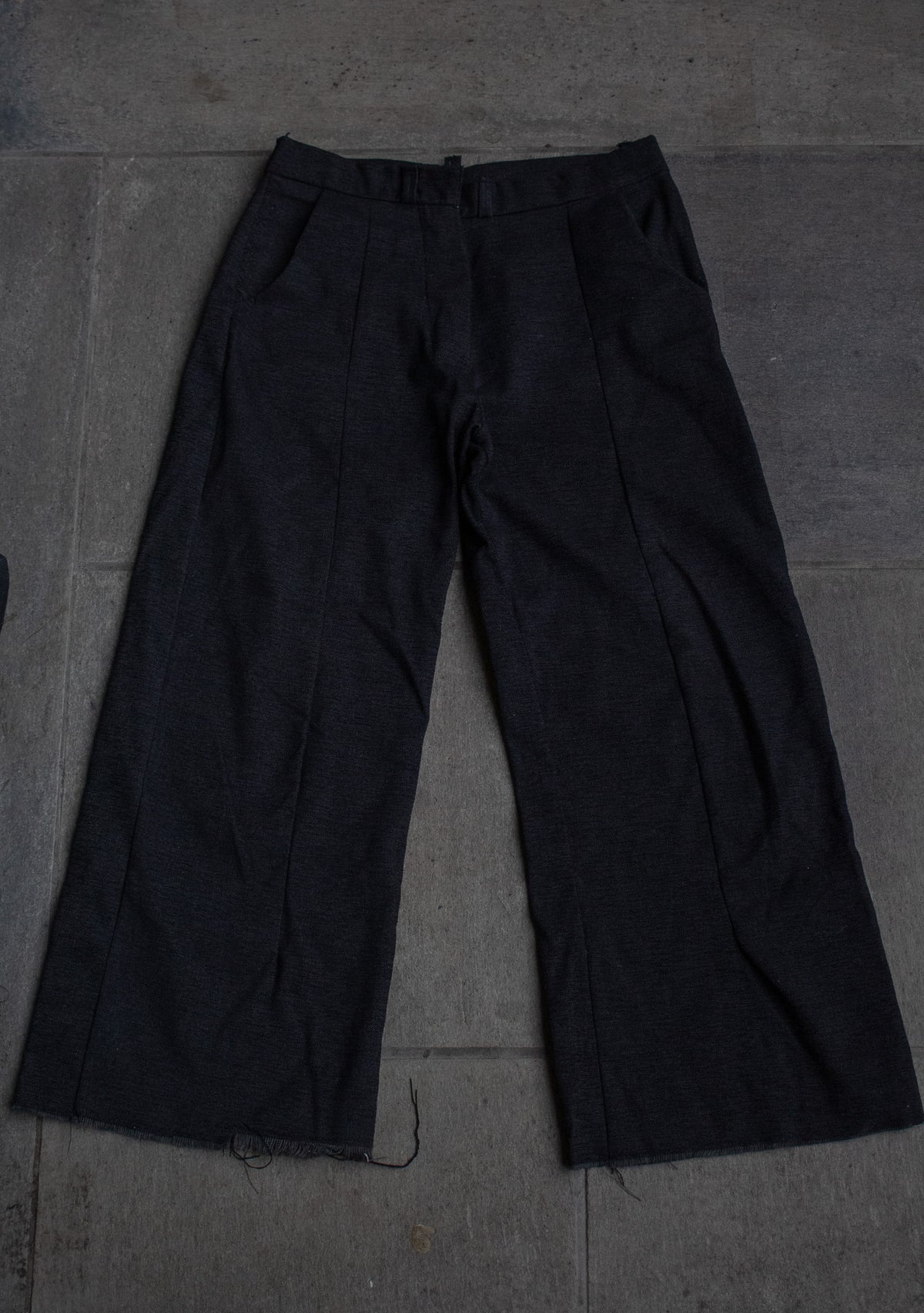 Pleated Trousers